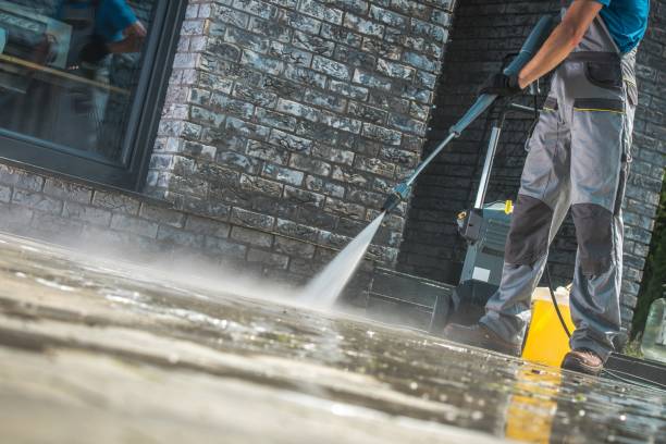 Best Driveway Pressure Washing  in River Rouge, MI
