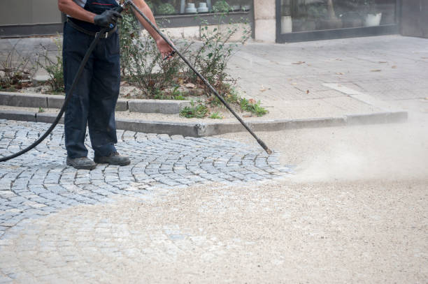 Best Boat and Dock Cleaning  in River Rouge, MI